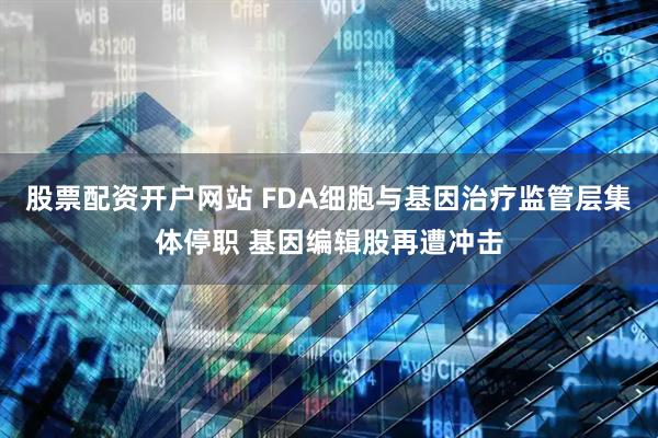 股票配资开户网站 FDA细胞与基因治疗监管层集体停职 基因编辑股再遭冲击